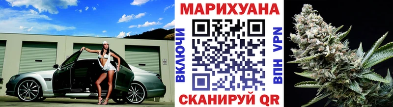 МЕФ Курчатов