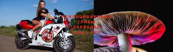 стафф Балабаново