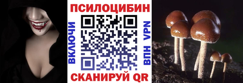 закладка  Курчатов  hydra ссылки  Галлюциногенные грибы ЛСД 